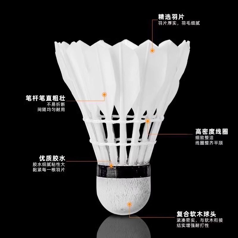 Lion Badminton Shuttlecock Goo - Feather Shuttlecock ulasan dan harga