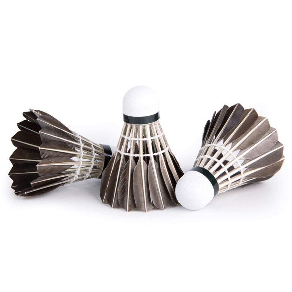 3/6/12Pcs Household Sport Trai - Feather Shuttlecock ulasan dan harga