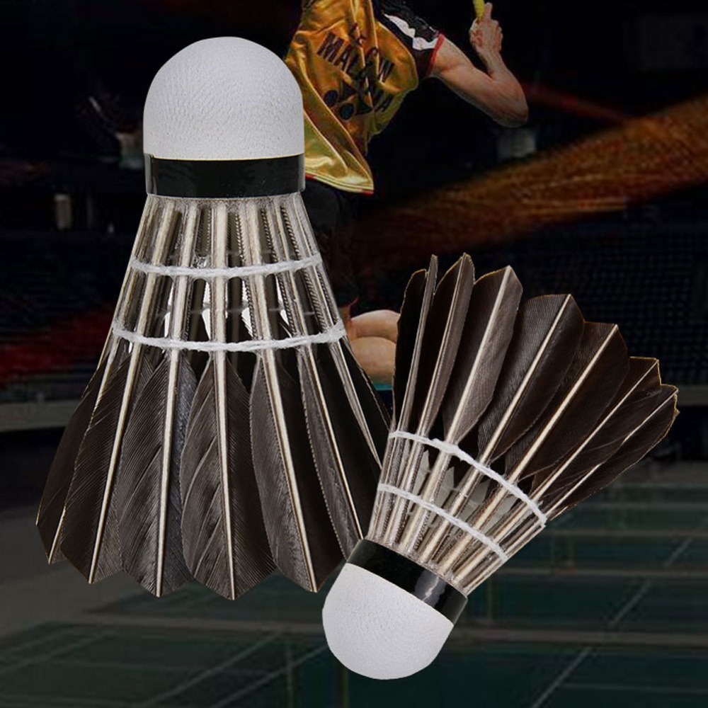 3/6/12Pcs Household Sport Trai - Feather Shuttlecock ulasan dan harga